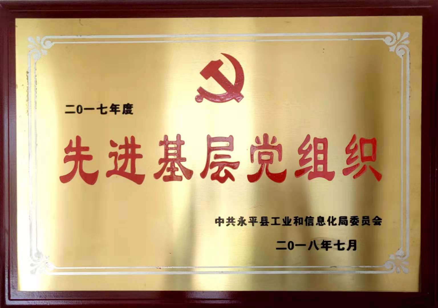 Advanced Grassroots Party Organization