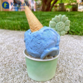 Recyclable Disposable Ice Cream Paper Cups and Bowls1