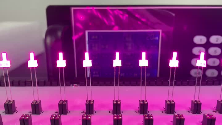 2 mm rožinė LED pieny difuzuotas objektyvas