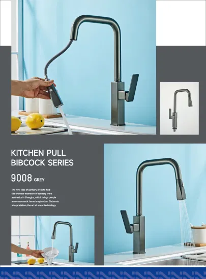 Wholesale New Design Spray Sink Kitchen Faucet Pull out Sink Faucet1