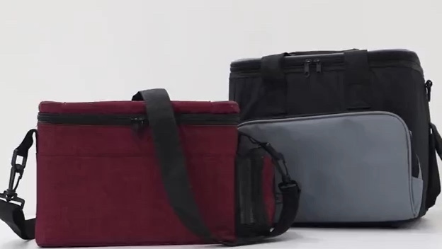 VEEDAI DC12V MINI Tragbarer Gefrierkühlerkühlertasche für Auto ETB151
