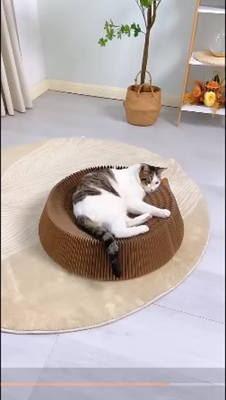 Foldable deformable interactive corrugated cat scr