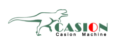 Suzhou Casion International Trading Co., Ltd.