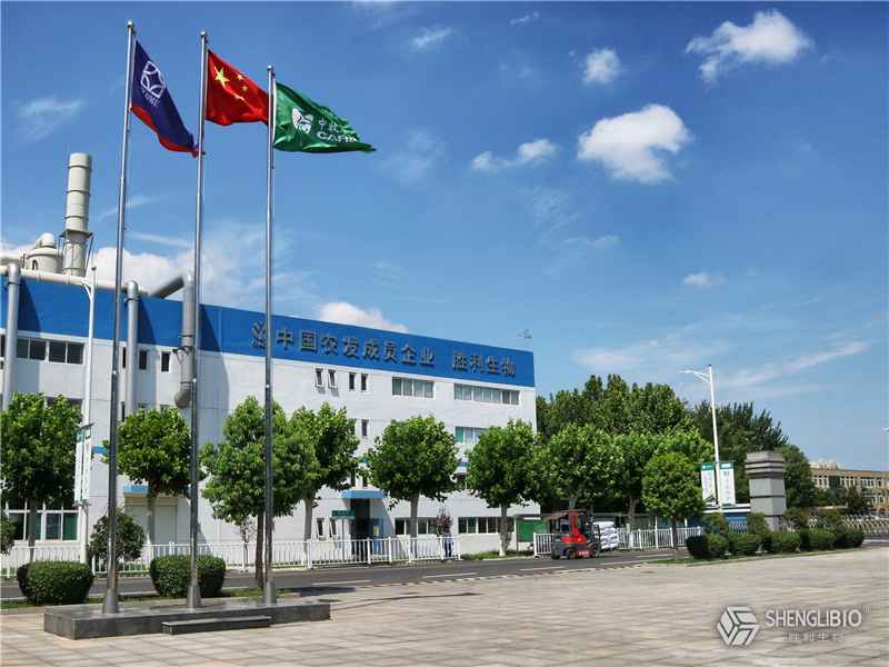 Shandong Shengli Bioengineering Co., Ltd