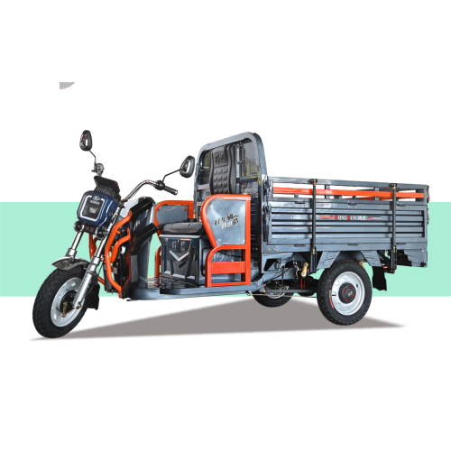 luying cargo electric vehicle