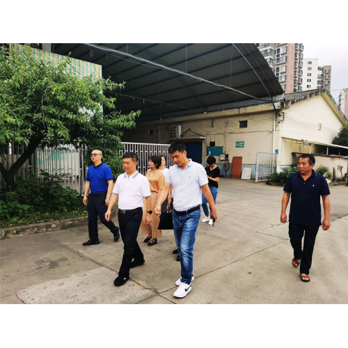 Xu bin, agonónomo jefe del Departamento de Agricultura y Asuntos Rurales de Sichuan, y su partido visitó la compañía para su investigación