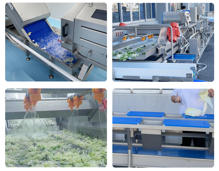 salad processing equipment