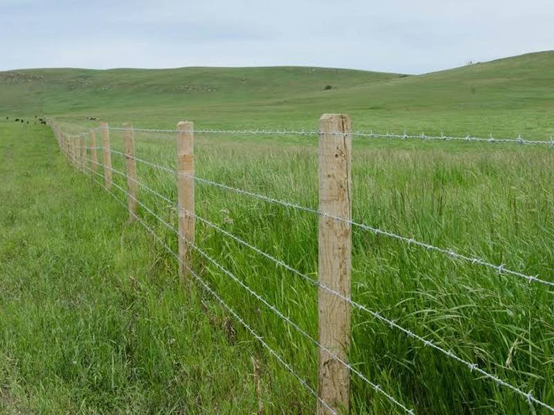 Ventas directas de fábrica Prisión de alambre de alambre de púas Barcas CALENTE MILITAR EL MILLITO BURCO BARBADO