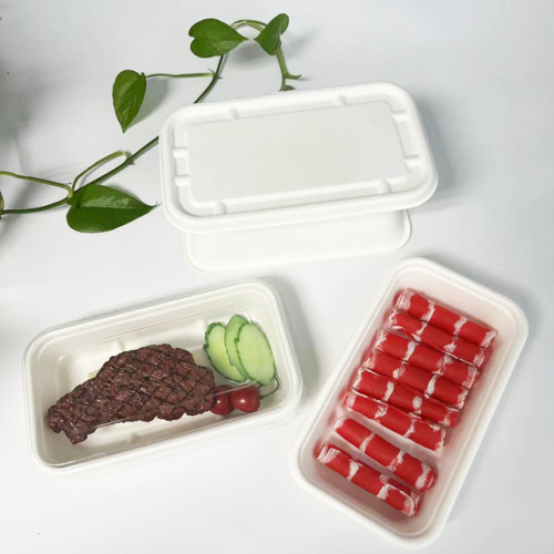 Bandeja de bagazo rectangular compostable con mascota o tapa de bagazo