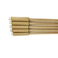 High Quality Dual Thickness Disposable Liquid Steel Immersion Sampler for Molten Iron1