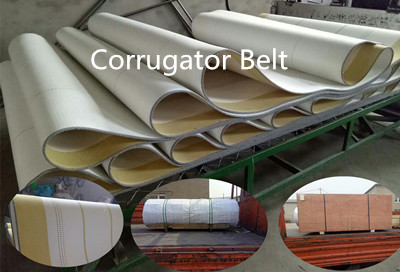 Corrutating Cardboard Belt