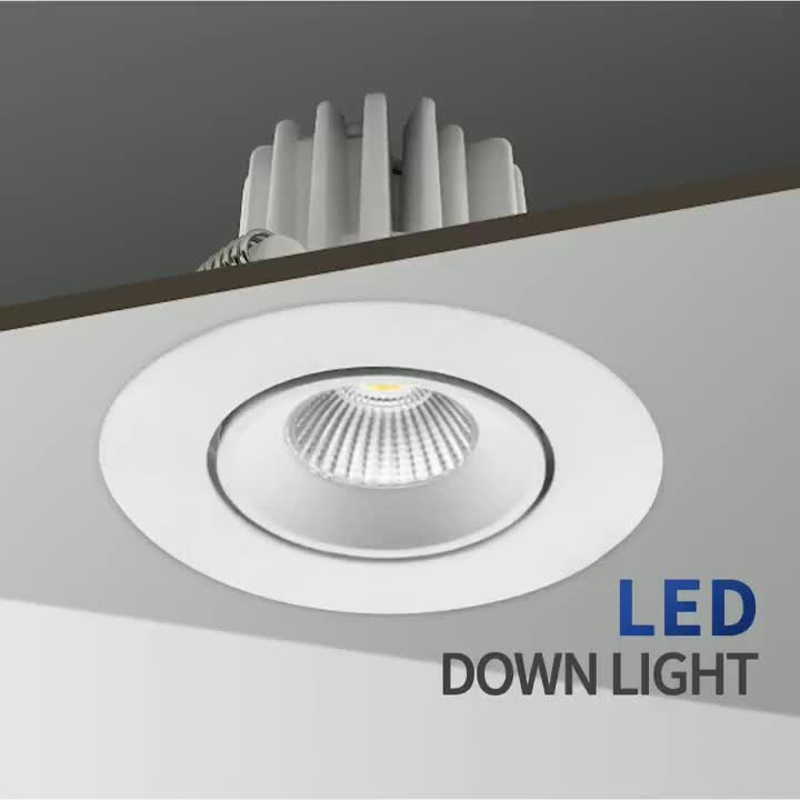 Downlight LED