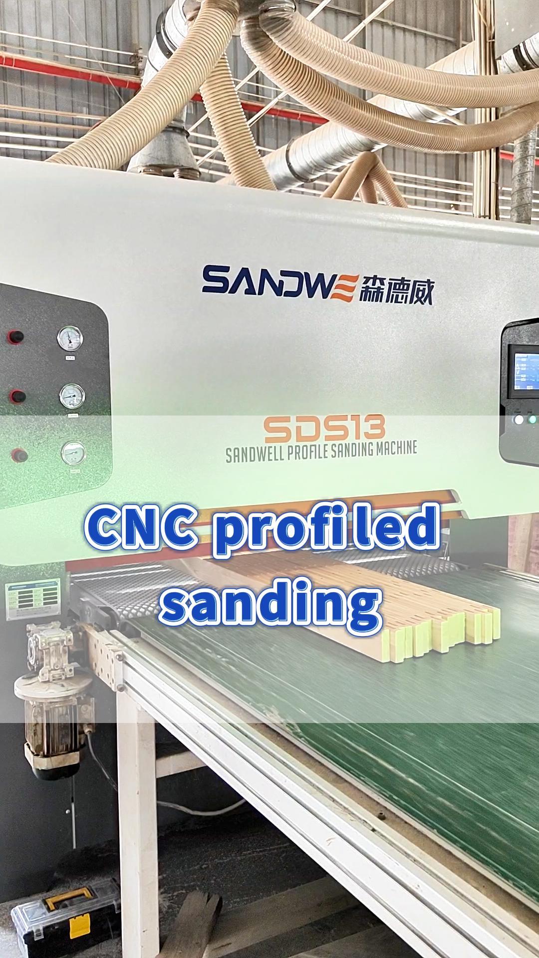 SDS13-Sanding Rubber Parent-Child Bed