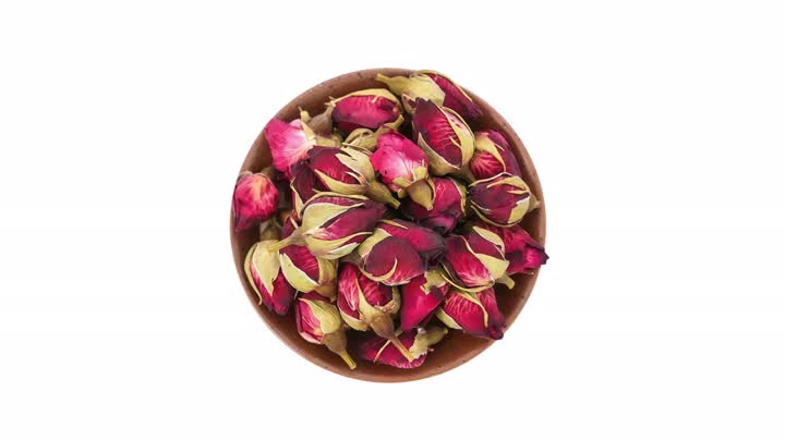 Chinese Rose