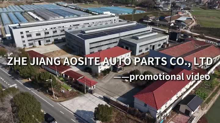 ZHEJIANG AOSITE AUTO PARTS CO.,LTD
