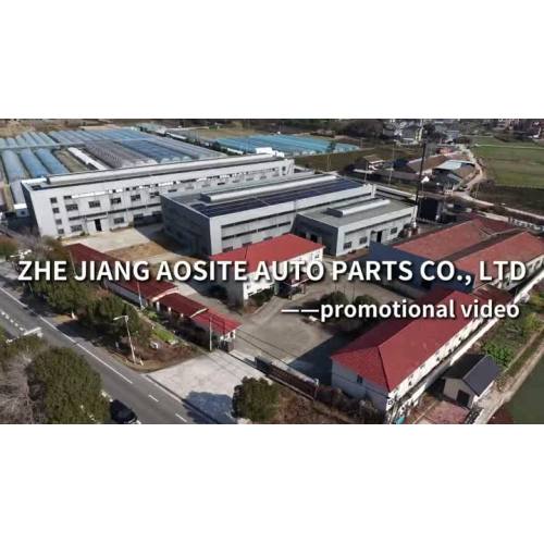 ZHEJIANG AOSITE AUTO PARTS CO.,LTD