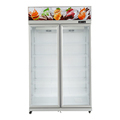 Vertical Double Door Beverage Cooler for Supermarkets1