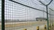 Painel de cerca do euro Holland Electric Solded Wire Mesh
