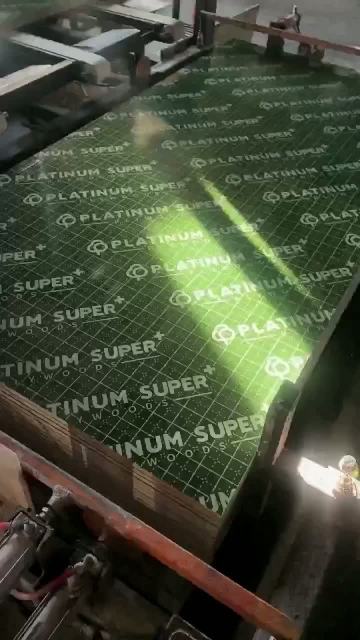 green PP plywood (1)