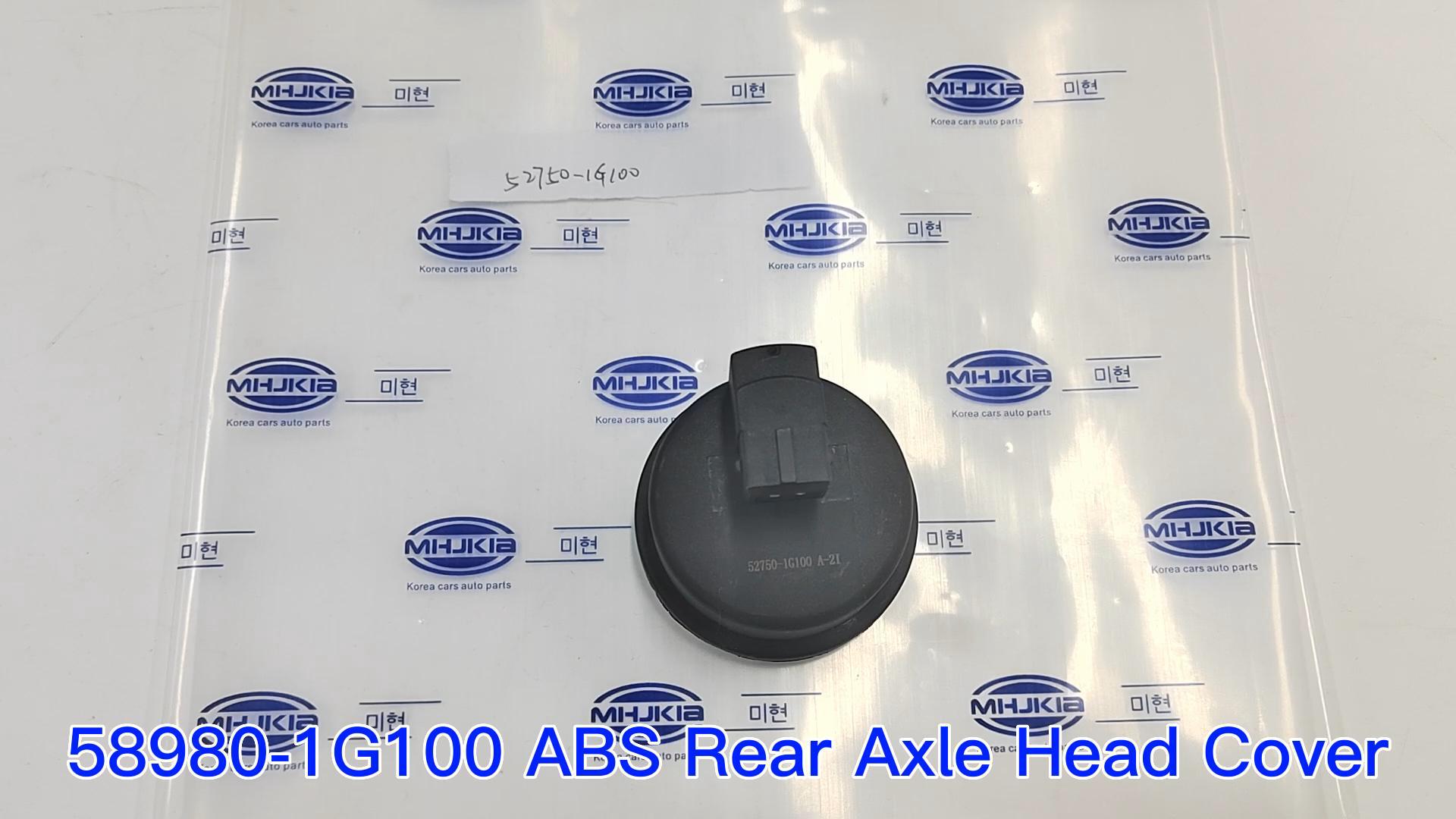 58980-1G100 ABS Rear Axle Head Cover