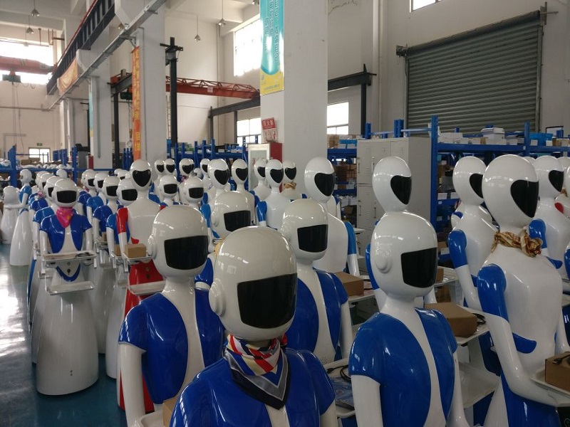 Henan 1st Century Robot Co., Ltd.