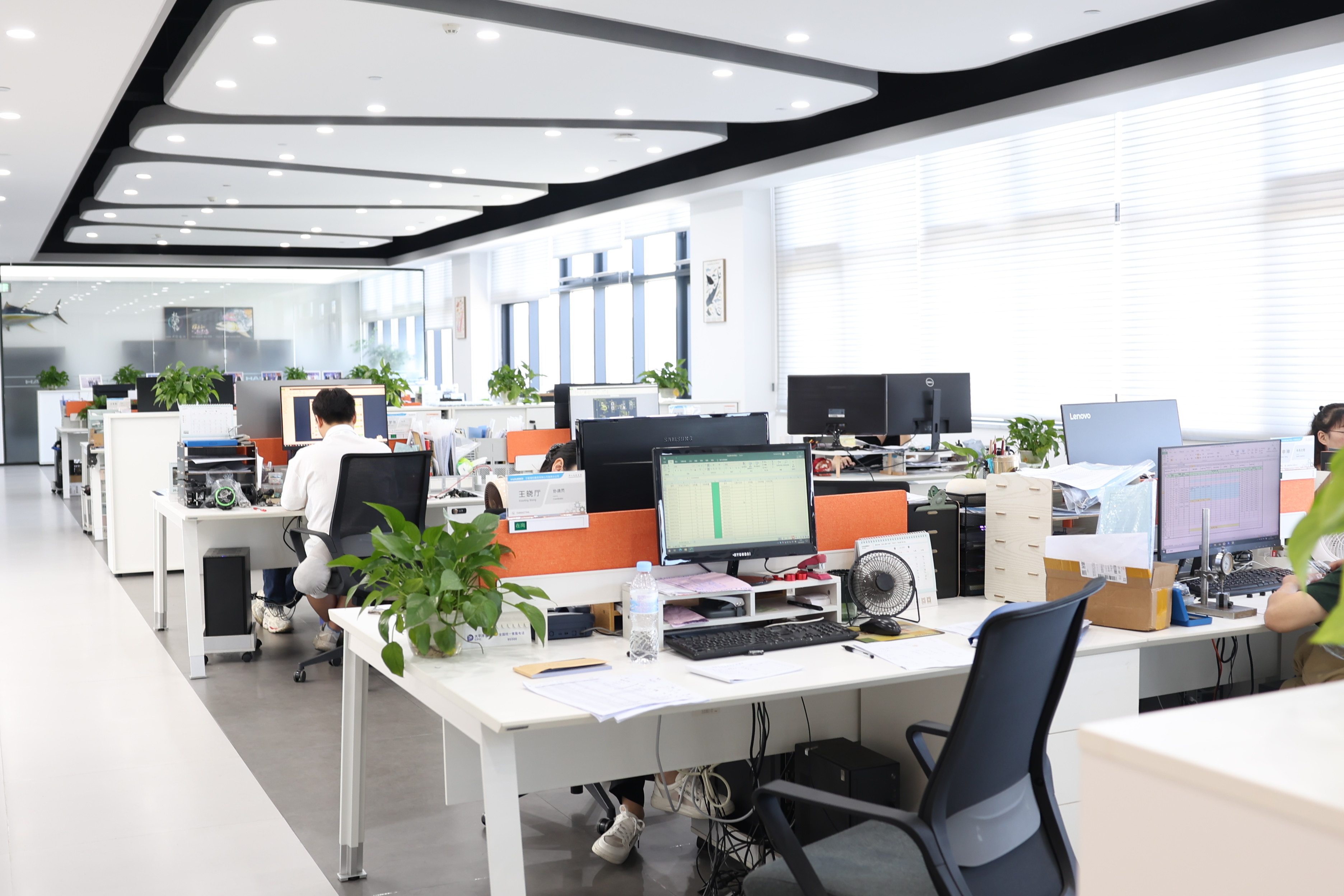 Haibo International Trade Co., Ltd.