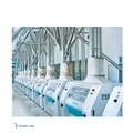100T/24H Wheat/Corn Flour Mills1