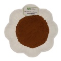 Egészségügyi kiegészítő Rhodiola Roses 2% -5% rosavin salidroside rhodiola rosea extraktum