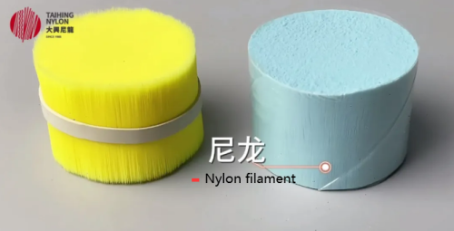 Thí nghiệm mô phỏng về độ mềm của lông bàn chải đánh răng màng sinh học