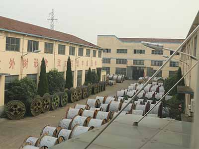 Shandong Shinegoo Group
