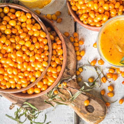 Más allá del control glucémico: un nuevo estudio muestra que los péptidos de espino amarillo ofrecen una protección renal superior