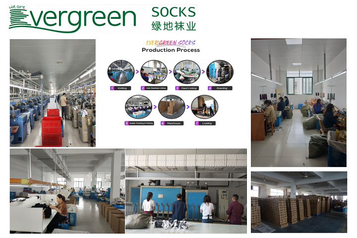 Shaoxing Evergreen Knitting Co., Ltd.