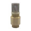 1/2"-4" Stainless Steel Filter Brass Foot Valve - Vertical Spring Check Valve1