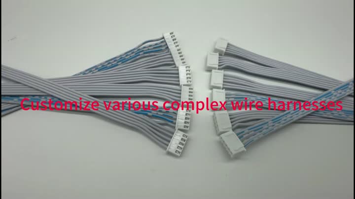 wire harness 2025-11-07