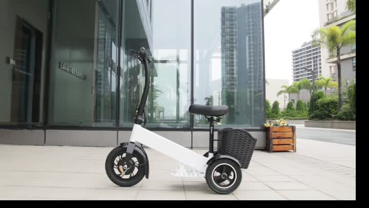 FS-12 12 Inch Portable Electric Bikes