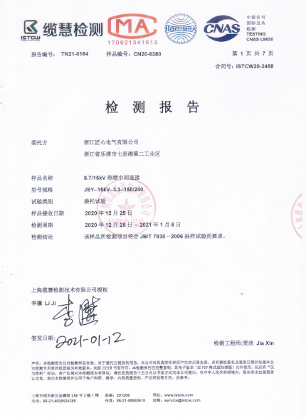 Inspection Report