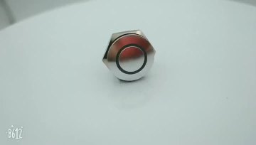 Metal Push Button 4
