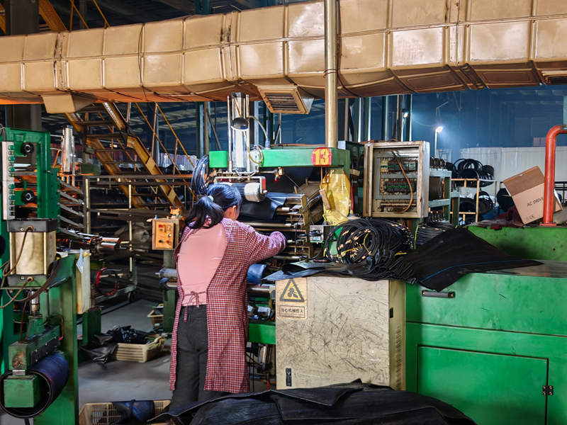 Chongqing Ruisi Laifu Tire Co., Ltd.