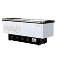 Supermarket Display Solutions: Island Freezers for Meat, Seafood, and Chicken1