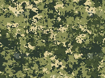 الابتكار الأخضر والترقية الوظيفية يؤديان إلى ازدهار سوق أقمشة التمويه العالمية