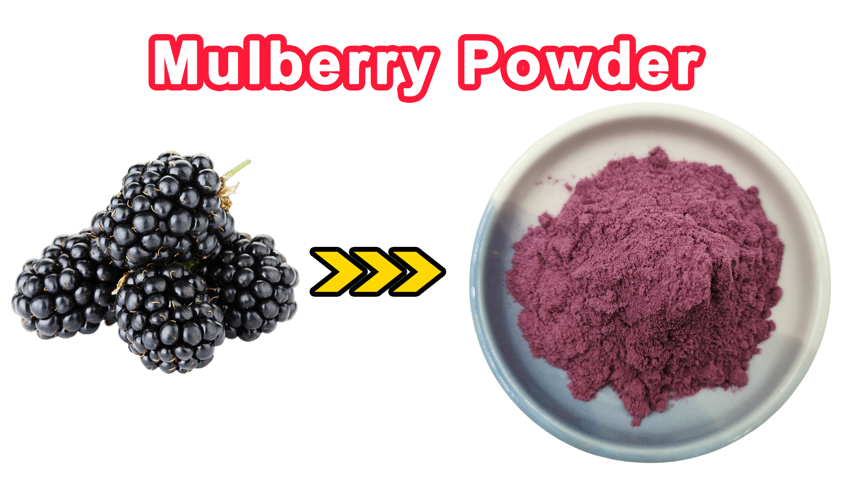 Mulberry Powder