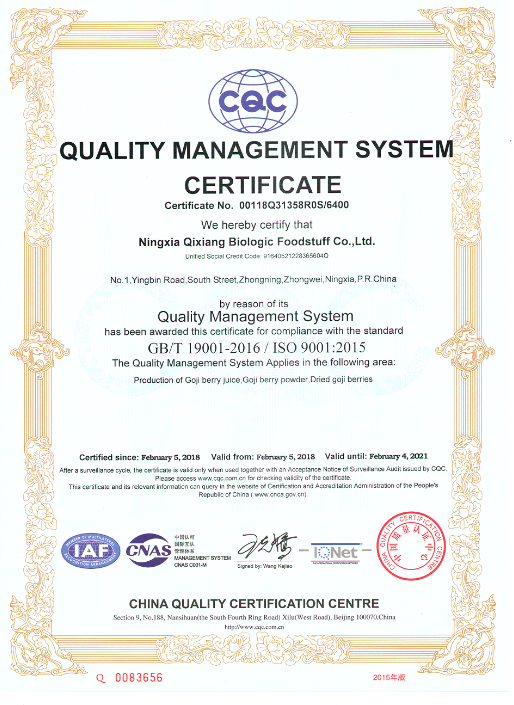 ISO 9001