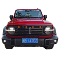 Used 2021 Off-road Version 2.0T Conqueror Automobile Tank 300 China Vehicle1
