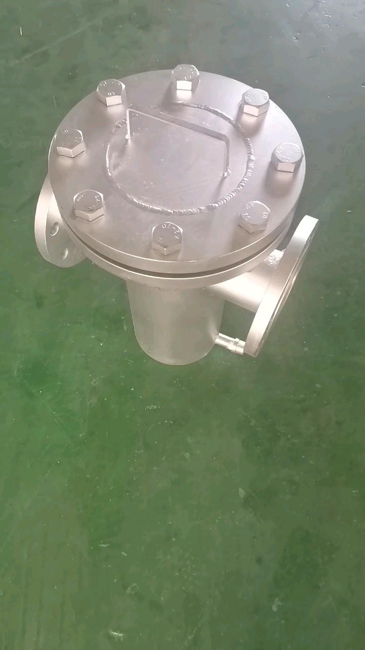 Le filtre du panier ne brode pas le filtre à huile de tuyau en acier1
