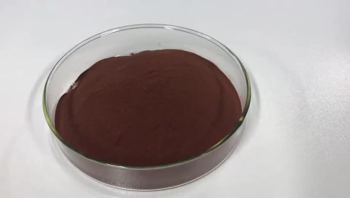 Grape Seed Extract Powder