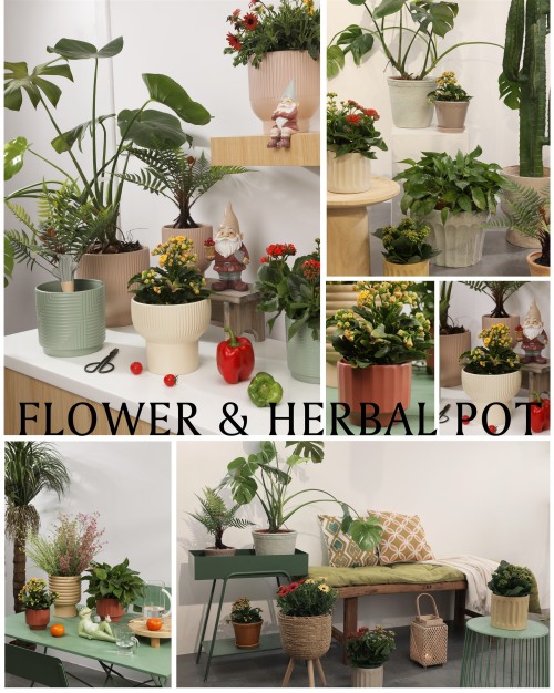 Flower & Herbal Pot