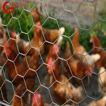 China Top 10 Chicken Wire Mesh Brands