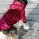 Ζεστά ρούχα για σκύλους Ζακέτα Hot Dog Down