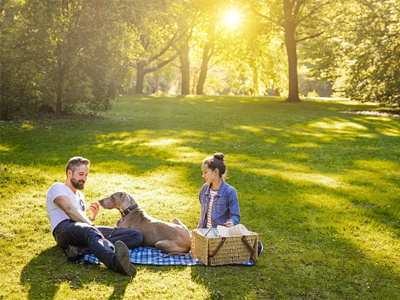 L'innovation durable et basée sur des scénarios alimente la croissance du secteur mondial des loisirs de plein air, des produits pour animaux de compagnie et pour enfants