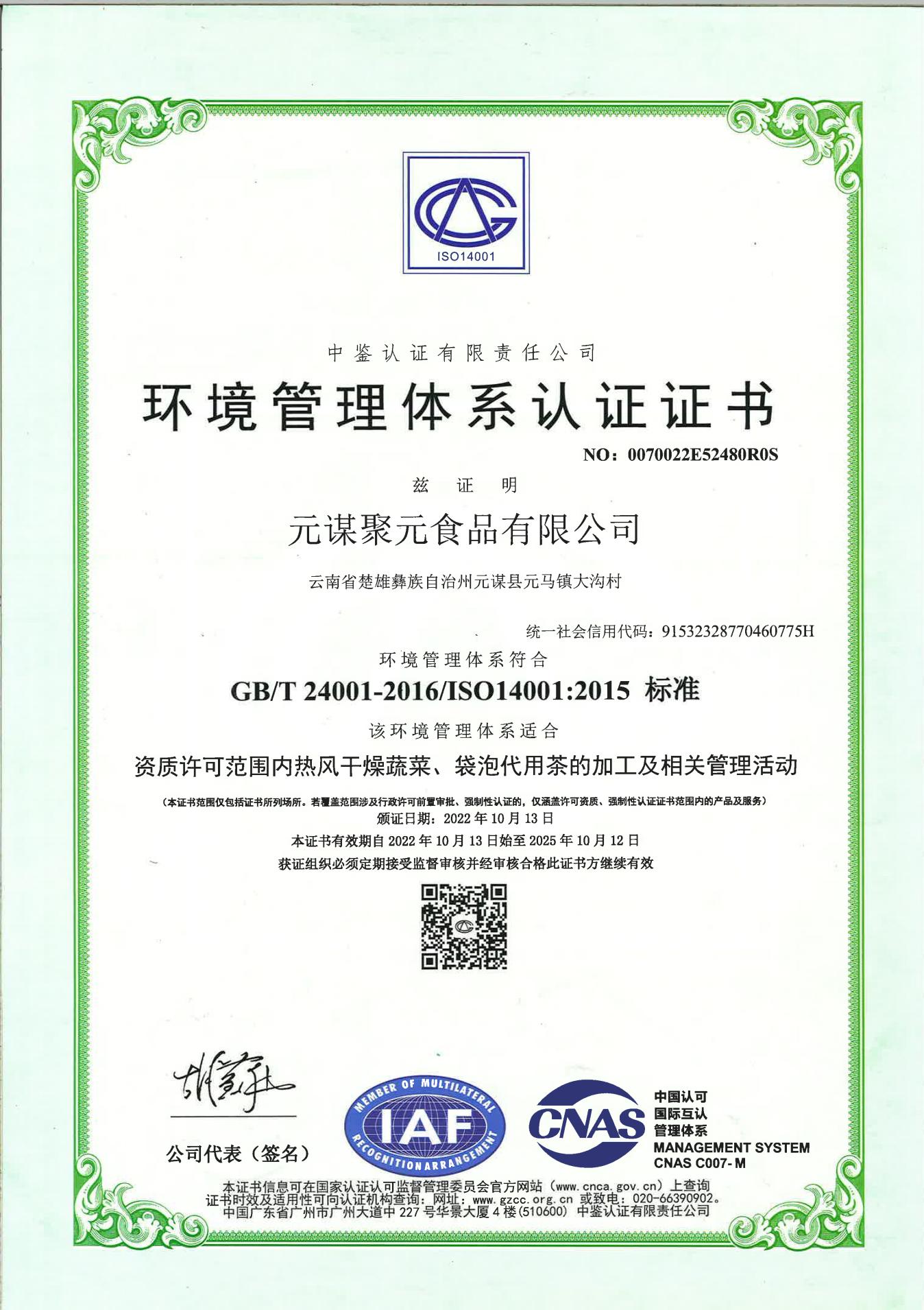 Environmental Management System Certificate - Chinese Version 0